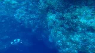 Dive the Blue Hole in Romblon [upl. by Ani982]