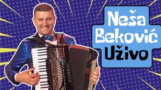 Neša Beković Improvizacija [upl. by Georas]