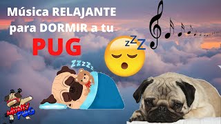 🎶🐶 MÚSICA RELAJANTE para DORMIR a TU PUG  MUSICA para DORMIR  MUSICA para CALMAR a mi PERRO 😴🐶 [upl. by Ware]