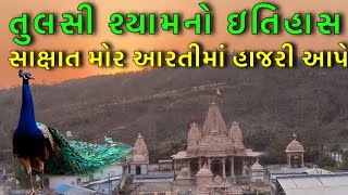 સાક્ષાત મોર આરતીમાં હાજરી આપે  Tulsi Shyam  Tulsi Shyam temple  Milan Danidhariya [upl. by Delmer]