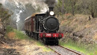 NSW Rail Museum Shuttles  3016 amp 2705  11 October 2019 [upl. by Sineray]