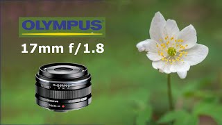 Improve Your Photography with the Olympus 17mm f18 Lens [upl. by Ody]