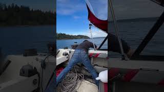 Winter crab opener 2024 pugetsound crabbing 2024 winter limits youtubeshorts outdoors [upl. by Nagaek292]