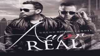 Gocho feat Yandel  Amor Real [upl. by Guy]