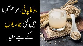 Jau Or Barley Water Jo ka Pani Benefits Will Make You Amazed  How to make Barley Water [upl. by Ecirtemed]