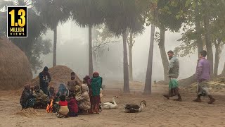 কুয়াশার চাদরে মোড়া সিরাজগঞ্জের বাকাই গ্রাম ২০২৩  PanoramaDocumentary [upl. by Linc804]