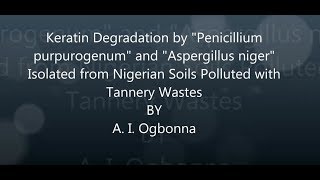 Keratin Degradation by Penicillium purpurogenumand Aspergillus niger Isolated from Nigerian Soils Po [upl. by Pauli]