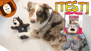 TEST JOUET POUR CHIEN DE QUALITÉ avec JAVA 🐻 [upl. by Mariel]