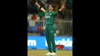 Shaheen Shah Afridi l The Legend 3 [upl. by Ahsieyn]