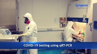 COVID19 testing using qRTPCR at Syngene [upl. by Douglass26]