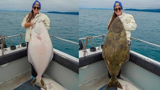 MASSIVE Halibuts Alaska Fishing Catch Clean amp Cook [upl. by Akenna708]