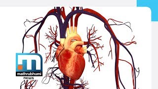 Damages To Heart Valves Doctor 2PM Mathrubhumi News [upl. by Earized]