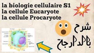 Biologie Cellulaire  la cellule Eucaryote et la cellule Procaryote  شرح بالدارجة [upl. by Eiramlirpa]