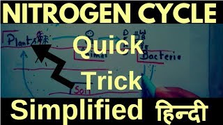 Nitrogen cycle Quick Trick Hindi [upl. by Ennayar]