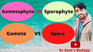 Difference between Gametophyte Sporophyte Gamete and Spore in Plants [upl. by Kubis]