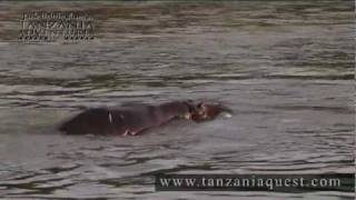 Jack Brittinghams Tanzania Adventures  Archery Hippo Hunt [upl. by Drofkcor]