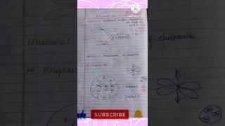 Meiosis Prophase 1  Leptotene  Zygotene  Pachytene  Diplotene  Diakinesis  Flow chart [upl. by Gerhardt]