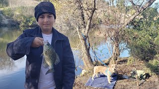 Crappie frenzy on Puddingstone lake [upl. by Imaj]