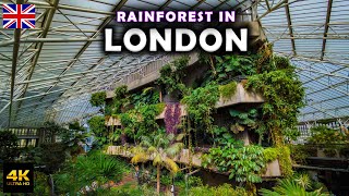 Guide to Barbican Centre in London 🇬🇧 Huge Garden at Barbican Conservatory [upl. by Ahsercal]