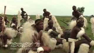 Celebrating Zulu Heritage Through Tribal Dance [upl. by Ellertal216]