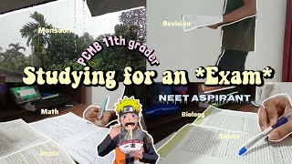 Productive Holiday Study vlog📚🌷 Studying for an Exam  11th grader PCMB Student NEET Aspirant [upl. by Morry]