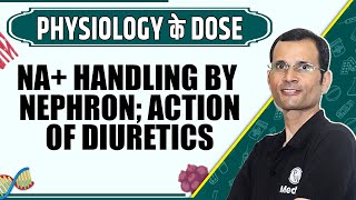 Na Handling by Nephron Action of Diuretics  1st Year MBBS  Dr Vivek  Physiology के Dose [upl. by Amar]