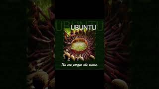 reflexão UBUNTU [upl. by Royo]