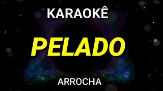 Karaokê de Arrocha  Pelado  Nattan [upl. by Ahsatal800]