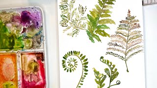 Watercolor ferns fiddleheads and more ferns So fun for the beginner [upl. by Enneira120]