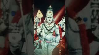 முருகன் பக்தி கர்மாவை போக்கும் godmurugan velunduvinaiillai [upl. by Thorndike]