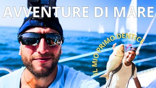 CRONACA DI UNA REGATA E LA PESCA DI UN DENTICE AVVENTURE DI MARE [upl. by Saundra666]