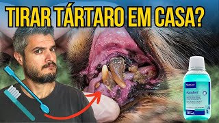 SOLUÇÃO CASEIRA PARA REMOVER TÁRTARO DOS DENTES DO CACHORRO COM BAFO FORTE CHEIRO NA BOCA DOS CÃES [upl. by Taam827]