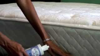 diatomaceous earth bed bugs [upl. by Ahcsatan]