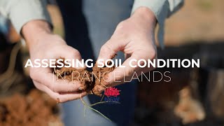 Assessing soil condition in rangelands [upl. by Nuarb24]