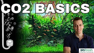 Freshwater Aquarium CO2 Basics with MJ Aquascaping [upl. by Ardnola380]