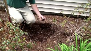 Why and How to Turn Mulch in Garden Landscape Beds [upl. by Afatsuom314]