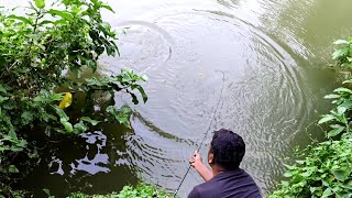 Two friend fishing catch a lot fish [upl. by Yehs529]