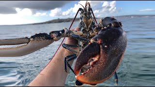 Hauling Lobster Pots and Bass Fishing  Sea Fishing Cornwall  The Fish Locker [upl. by Acnaib]