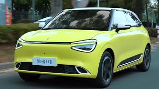 Does Nammi Nano 01 See Byd Dolphin as a Competitor New Dongfeng NAMMI Nano 01 EV 2024 [upl. by Vey]