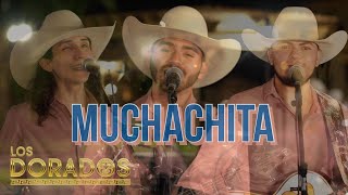 Los Dorados  Muchachita En Vivo [upl. by Ailecnarf]