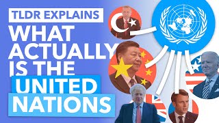 The United Nations Explained How Does it ACTUALLY Work  TLDR News [upl. by Jerold]