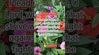 Psalm 35  King James Version KJV Audio Bible [upl. by Eislek]