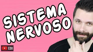 SISTEMA NERVOSO  FISIOLOGIA  Aula  Biologia com Samuel Cunha [upl. by Adnahs]