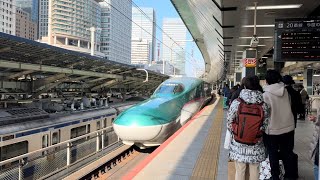 Japan Tohoku Shinkansen Trains  Tokyo Station [upl. by Esiuolyram]