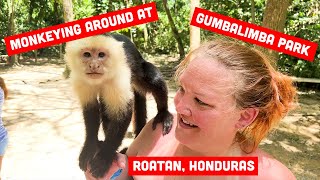 We Got To Play With Monkeys at Gumbalimba Park in Roatan Honduras [upl. by Einra]