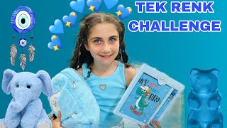 24 SAAT BOYUNCA HER ŞEY MAVİ CHALLENGE MAVİ RENK CHALLENGE TEK RENK CHALLENGE [upl. by Krasner11]