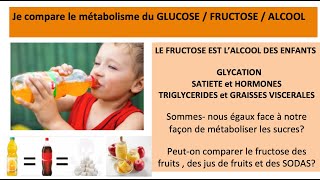 Le FRUCTOSE est lALCOOL des enfants et des adultes [upl. by Esinart]