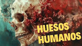 TODOS LOS SECRETOS DE LOS HUESOS DEL CUERPO HUMANO EM ESTE EXTRAORDINARIO DOCUMENTARIO [upl. by Yruam]