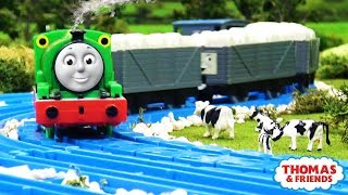 Percy Races Harold  Percy Proves a Point  Thomas and Friends Clip Remake [upl. by Anial]