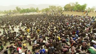 Des milliers de pêcheurs vident un lac en 15 minutes   ZAPPING NOMADE [upl. by Nawak]